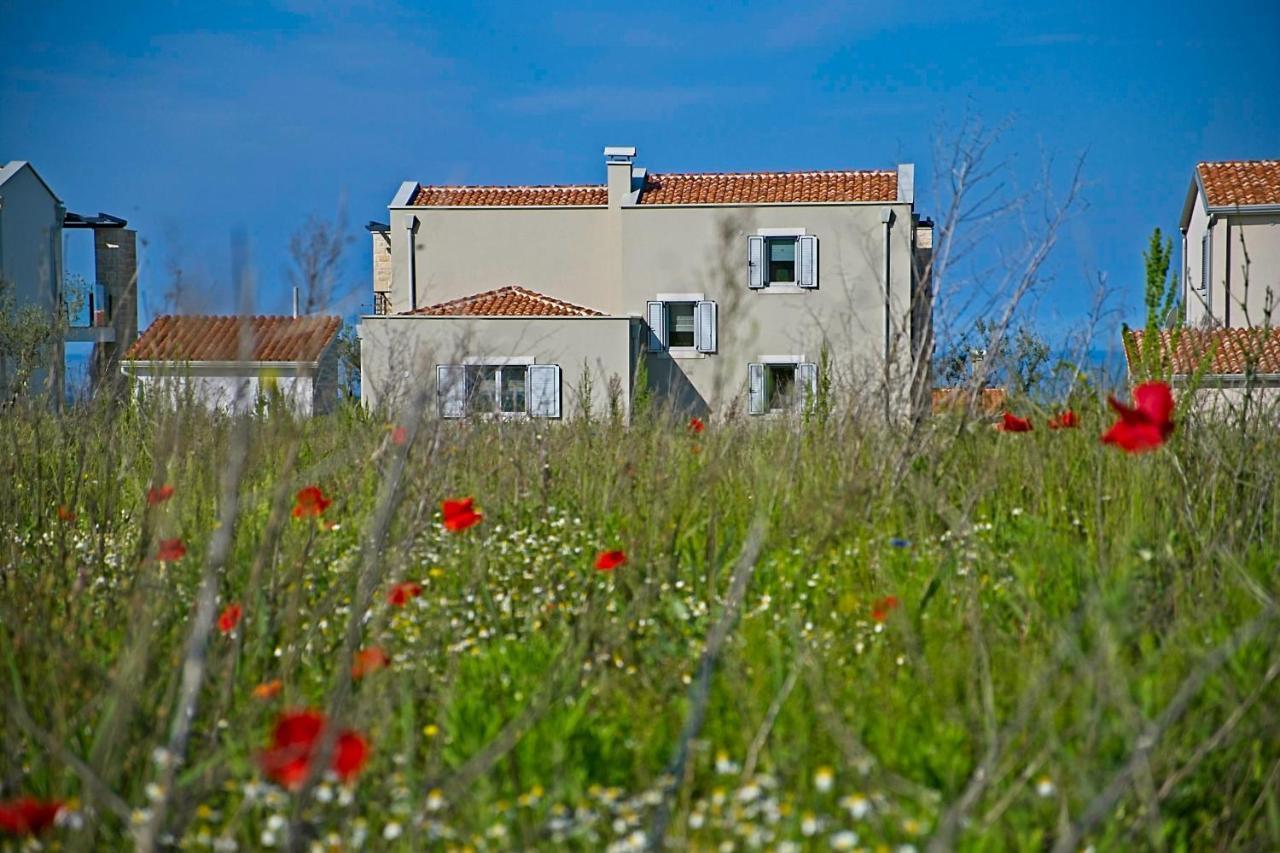 Villa Flamingo Kaštelir المظهر الخارجي الصورة